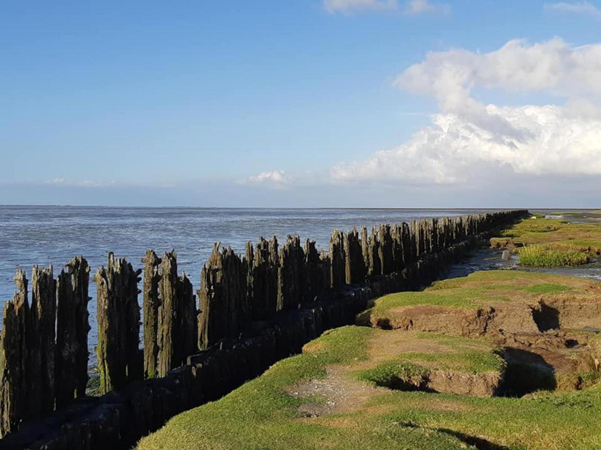 Fantastic Luxury Vacation Home And Next To The Wadden Sea Paesens Экстерьер фото
