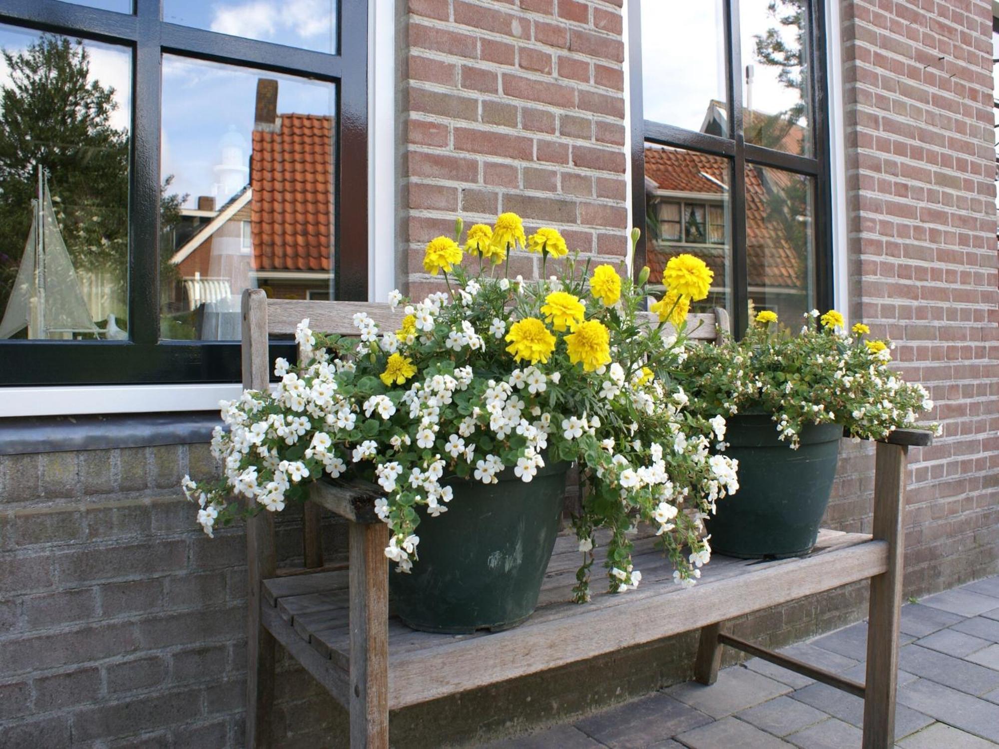 Fantastic Luxury Vacation Home And Next To The Wadden Sea Paesens Экстерьер фото