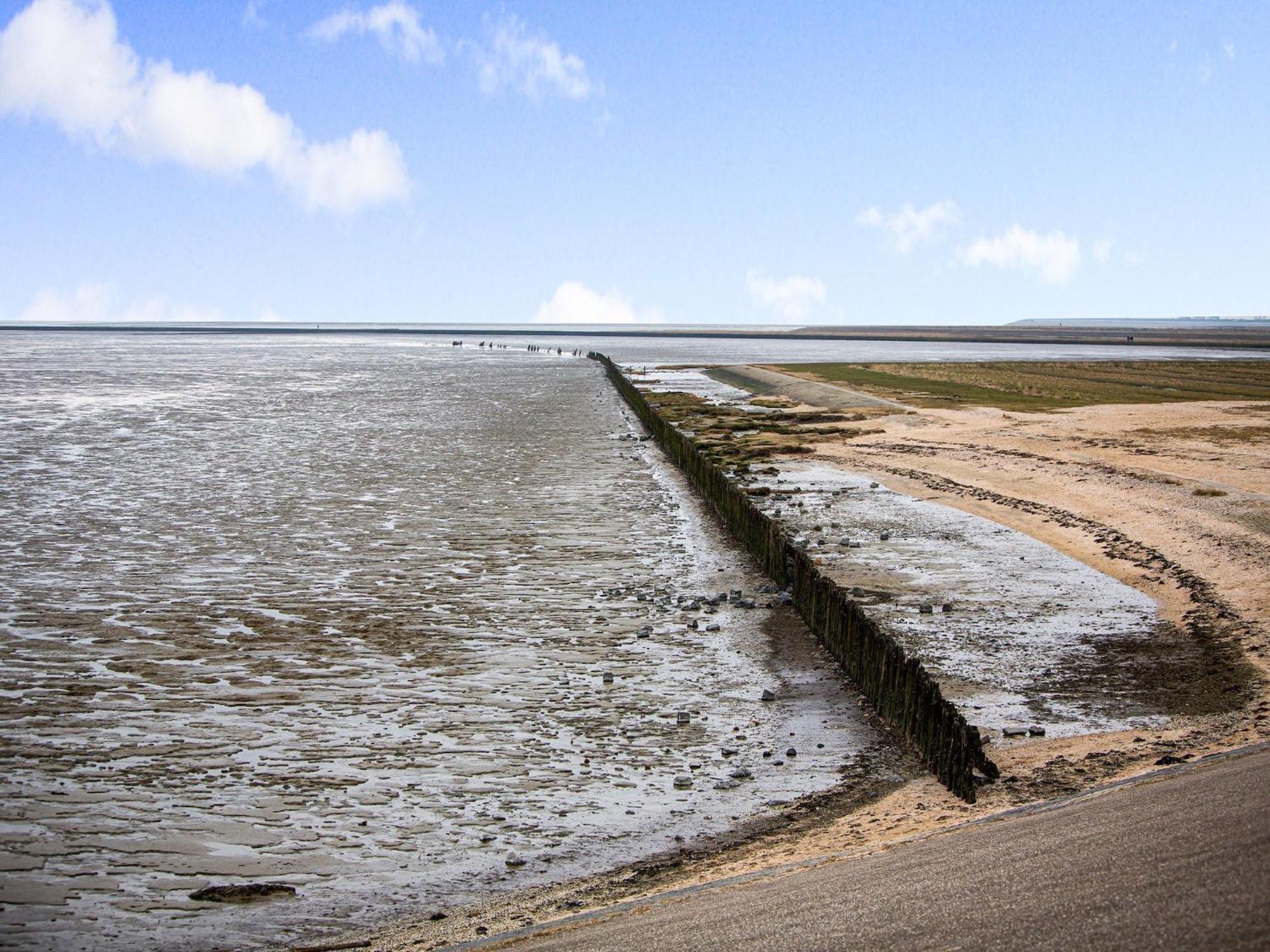 Fantastic Luxury Vacation Home And Next To The Wadden Sea Paesens Экстерьер фото